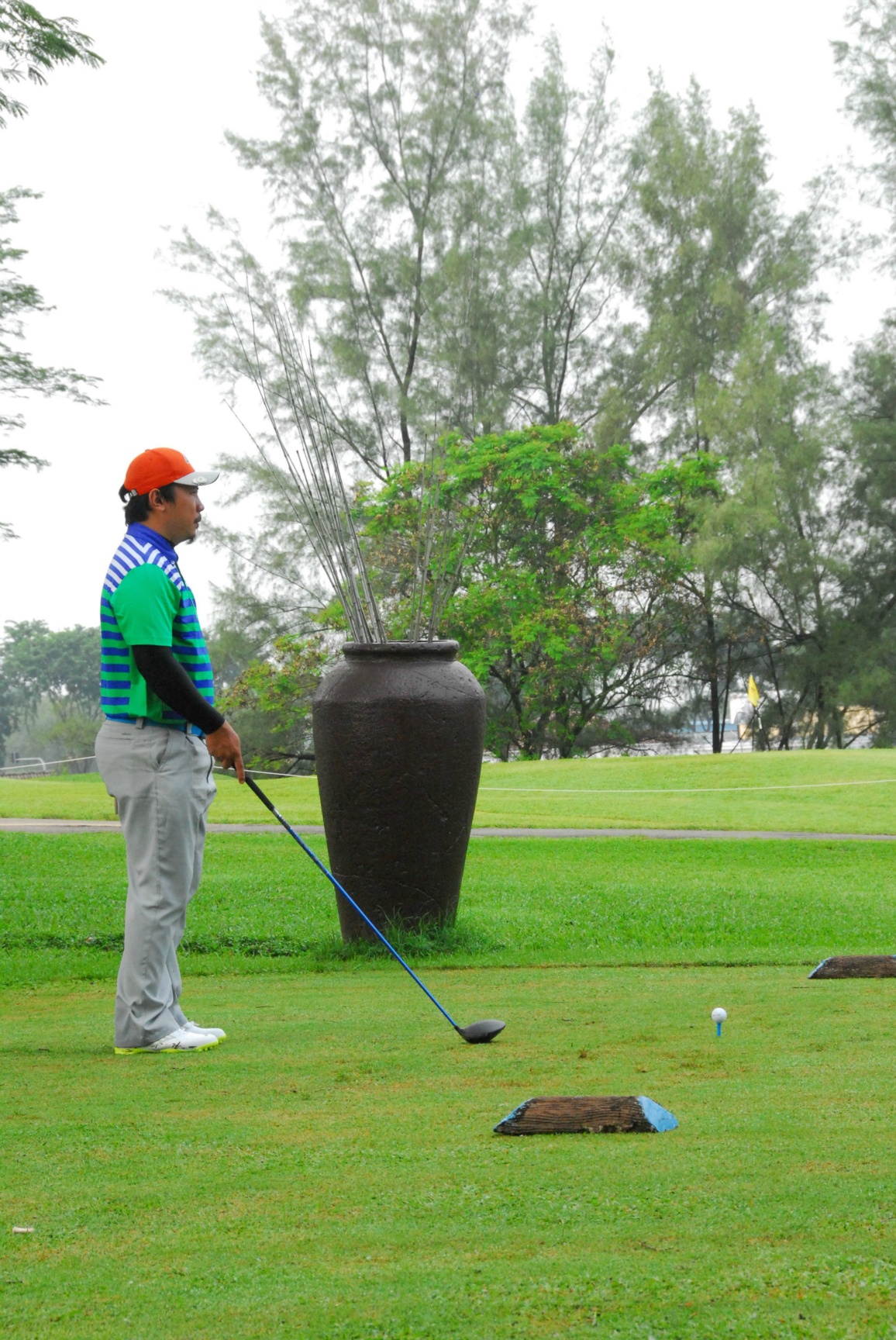 PRO15 157 GOLF DSC 0259.JPG